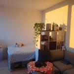 Downtown Brooklyn Studio Apartment