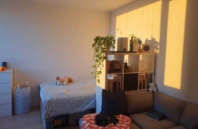 Downtown Brooklyn Studio Apartment