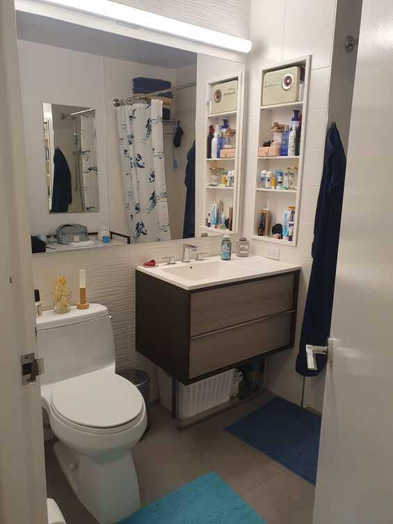 Downtown Brooklyn Studio Apartment