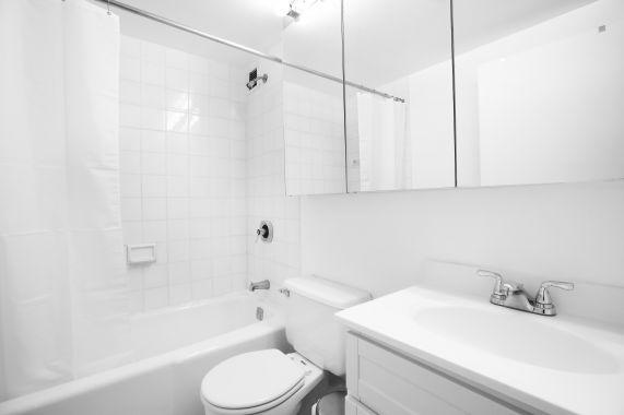 One Bedroom Apartment in Midtown west